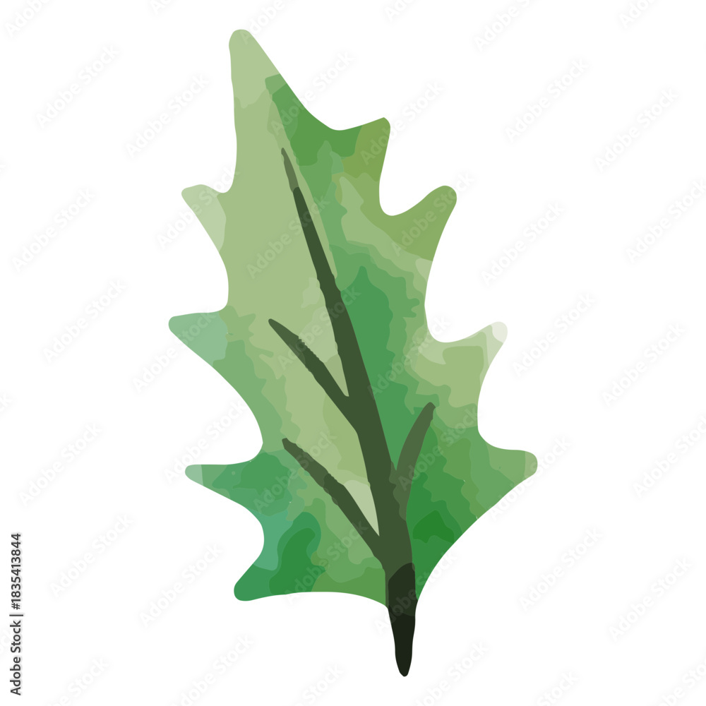 Fototapeta premium Watercolor holly leaf