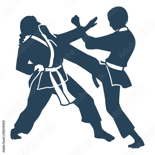 Fight practice karate simple people