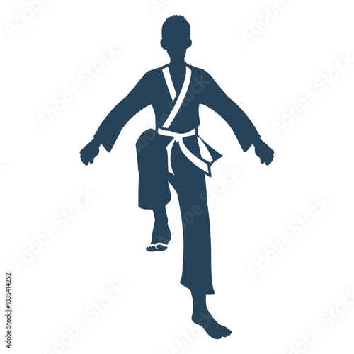 Simple karate pose martial art people