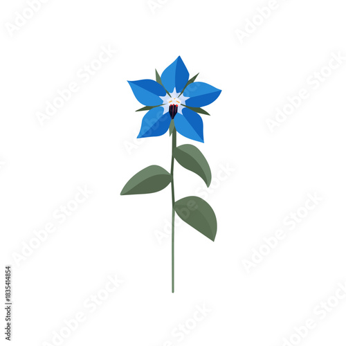 Simple_flat_2D_icon_borage_flower_isolated_on_a_white_Attractive Minimalist illustration, A clipart flat 2D icon, simple illustration with EPS format design