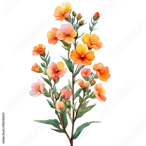 Wallflower Flower, vibrant watercolor vector, isolated on a white background, high quality and detailed design.