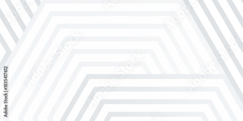 White silver soft geometric universal background for business presentation. Abstract elegant pattern. Frame borders. Minimalist empty lined blank BG.eps 10