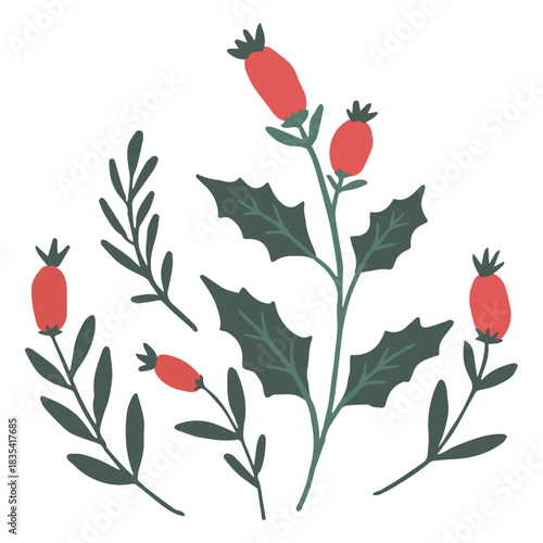 Christmas mistletoe branches