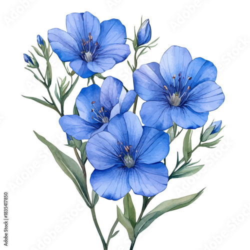 Veronica Flower, beautiful watercolor illustration, isolated on a white background, soft and delicate colors.