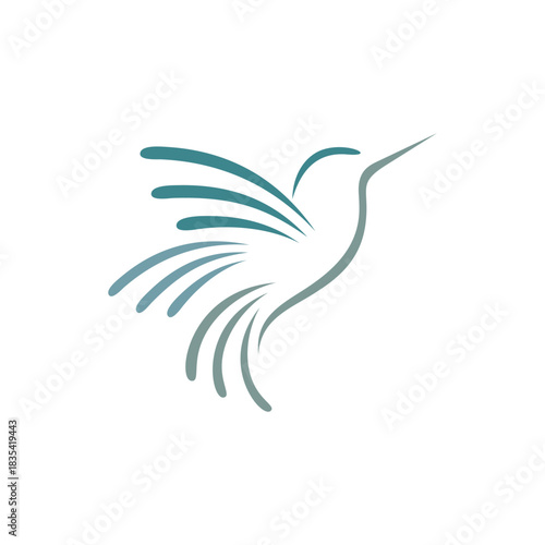 Abstract humming bird logo template