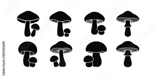 Collection of black and white mushroom illustrations for botanical and fungal designs