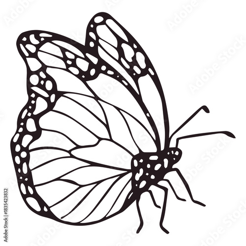 Dia de los muertos butterfly filled stroke