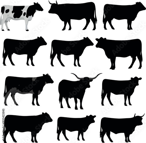 kinds of different cow silhouette with white background