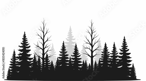 forest black and white