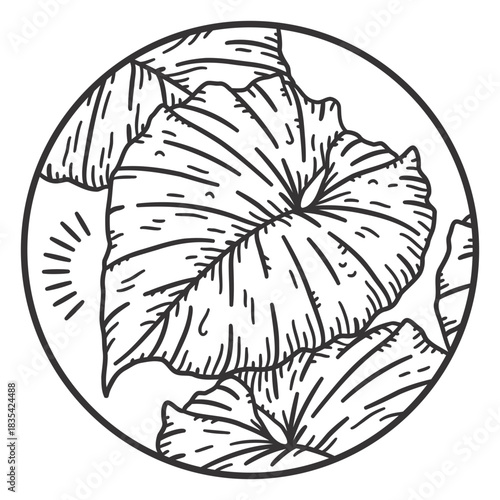 Tropical leaf natural element stroke