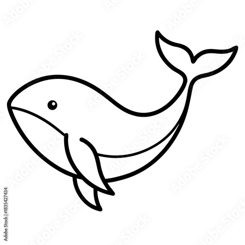 cartoon shark vector illustration