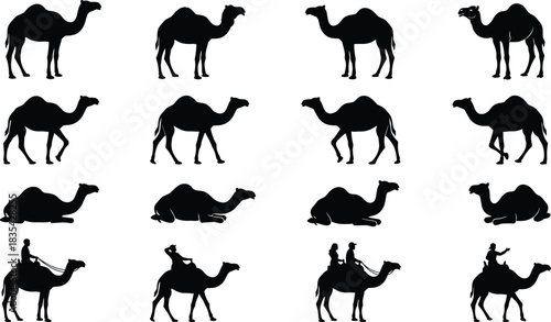 WebSilhouettes of sixteen camels in various poses and rider configurations, showcasing desert travel, posture diversity, and cultural symbolism