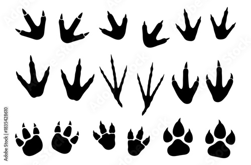 Collection of animal tracks silhouettes including bird, reptile, dinosaur and mammal paw prints
