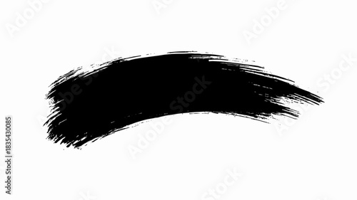 Abstract black and white vector paint splashes with a single soft black and white feather plume