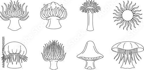 Abstract sea anemone and jellyfish illustrations, marine organism line art set, underwater nature elements, ocean themed vector collection
