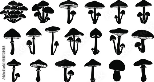 Black and white silhouette of various magic psychedelic forest mushrooms, a collection of fungi icons, fly agaric, shroom, toadstool in different shapes 