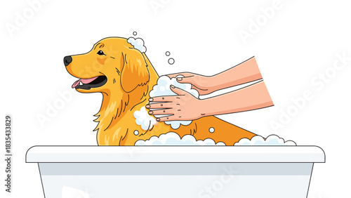 Caring hands gently lathering soap bubbles onto a happy golden retriever during a relaxing bath time session