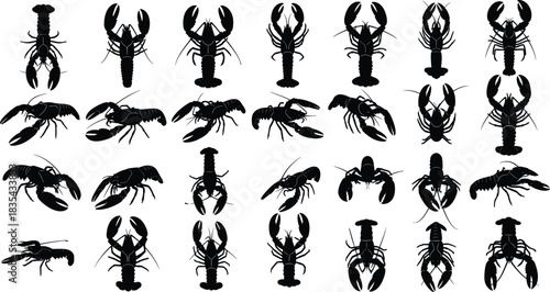 Large collection of thirty black lobster silhouettes in various positions, marine crustacean seafood icon set, crayfish, crab, ocean animal vector graphic, minimal design, food and wildlife.