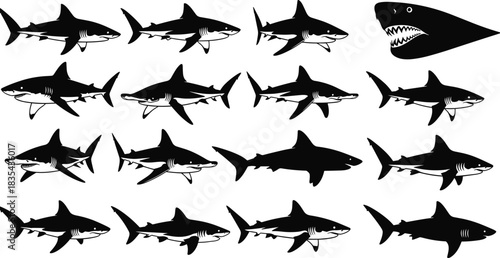 Set of various aggressive ocean predator shark black silhouette logo icons, simple mascot vector illustration bundle of different species for modern wildlife badge design
