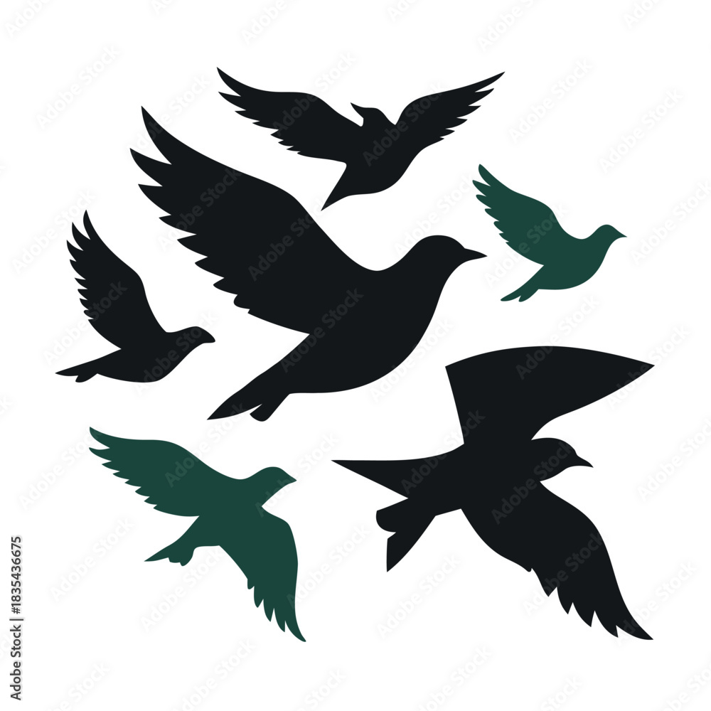 Fototapeta premium Collection of diverse flying bird silhouettes in clean modern shapes for design projects