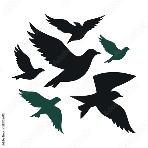Collection of diverse flying bird silhouettes in clean modern shapes for design projects