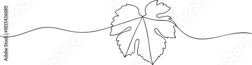 One continuous single line drawing of a grape leaf with soft organic curves, simple minimalist botanical outline vector illustration