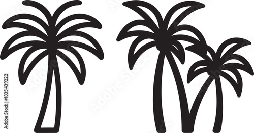 palm trees silhouette