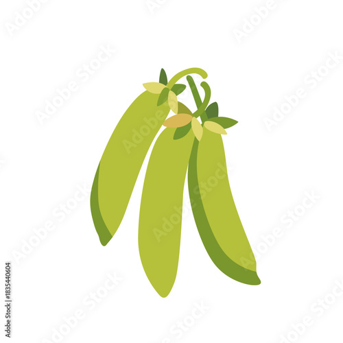 Fresh green snow pea pods vegetable, isolated flat style vector illustration