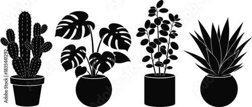 Potted indoor plant silhouette set, cactus monstera and modern houseplants for home decor, interior design, isolated botanical vector collection