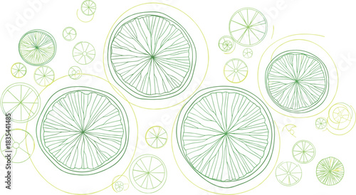 Stylized citrus fruit slices, lime lemon pattern, green yellow radial design, organic texture, botanical cross-section, vector illustration, symmetry