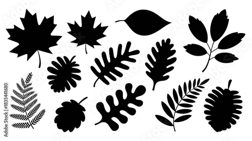 Black silhouette leaves and cones collection for autumnal designs