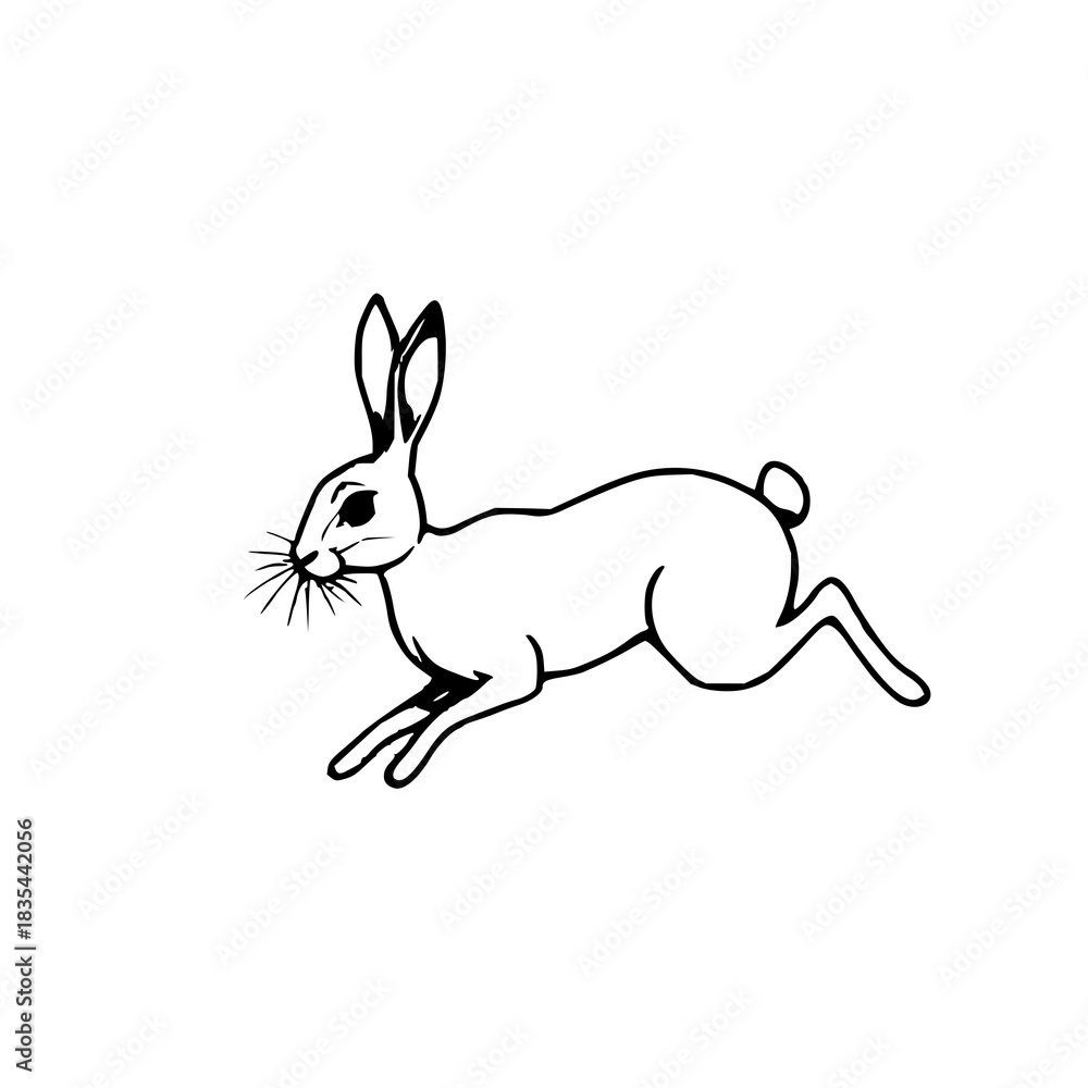 Obraz premium Black line art, silhouette of a running hare, whit