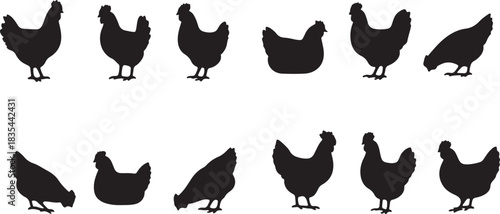 collection of chicken silhouettes in various poses, including standing, pecking, and sitting