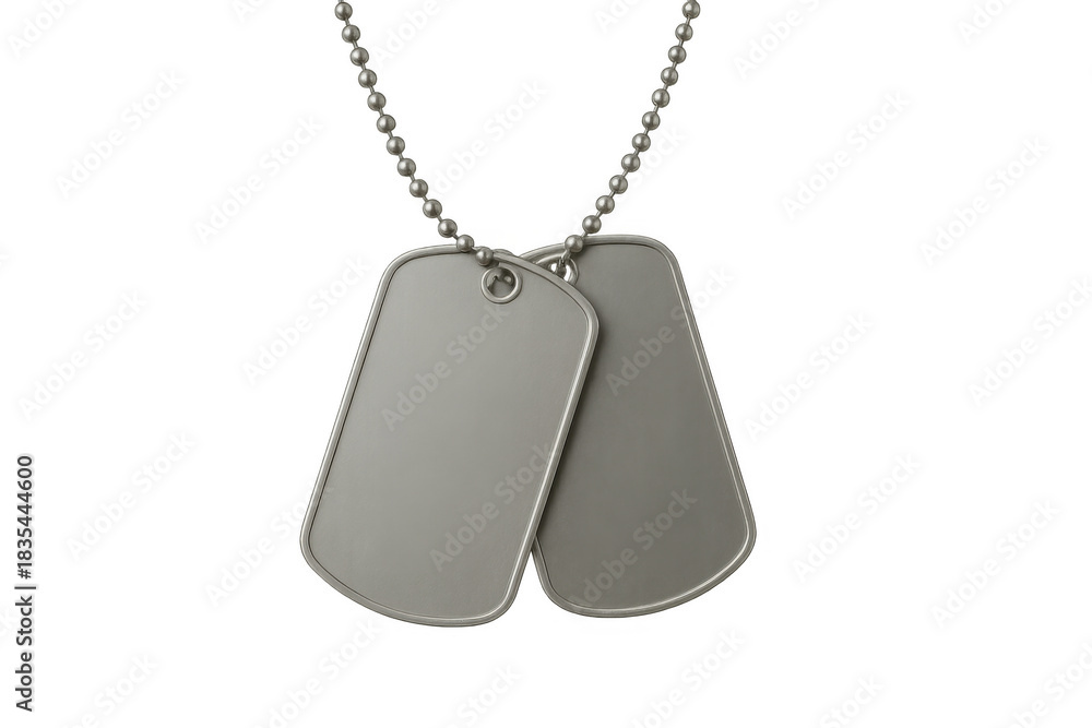 Fototapeta premium Military dog tags with chain on transparent background symbolizing remembrance, identity, and service