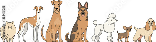 Ultimate collection of diverse canine and feline graphic assets, showcasing colorful cartoon styles and bold black and white breed outlines for merchandise and media.
