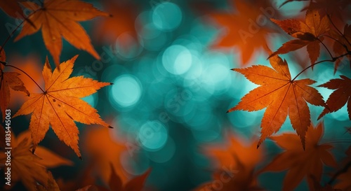 Vibrant orange autumn maple leaves beautifully frame a stunning teal bokeh background, capturing the essence of the fall season with a dreamy, picturesque glow