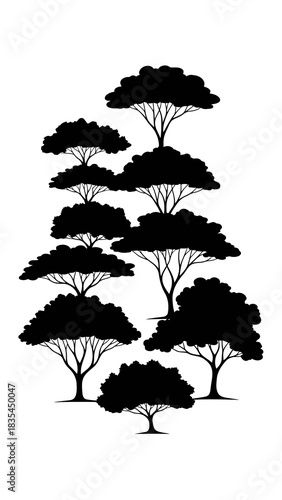 Black silhouette of different acacia trees design element collection for logo design or nature background illustrations
