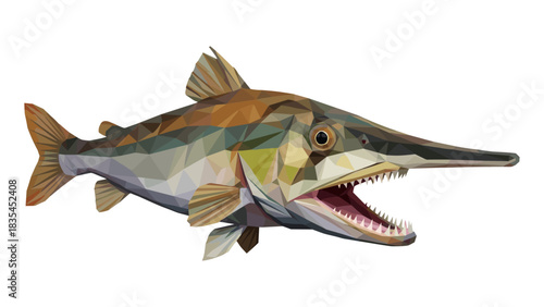 Geometric alligator gar with open mouth in low poly style art on white background