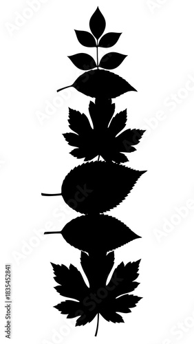 Various autumn leaf silhouettes lined up vertically in black and white botanical illustration of seasonal foliage