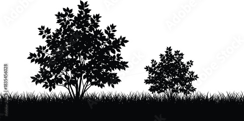 Nature silhouette of lush foliage, shrubs, and dense grass creating a peaceful black and white border for gardening, landscape, or botanical design projects