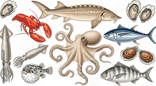 Realistic illustration of diverse sea creatures and seafood including fish, mollusks, and crustaceans – marine biology and cuisine concept
