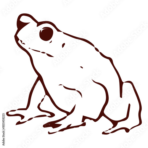 Lovely toad filled stroke