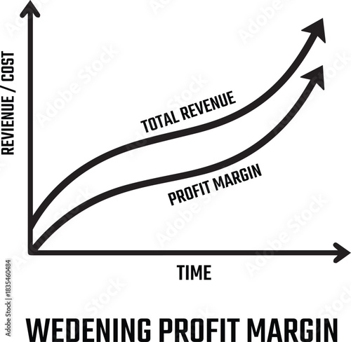 Revenue and Profit Growth Curve