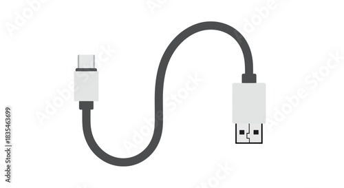 USB cable with two connectors