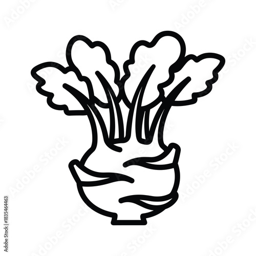 Simple kohlrabi with green leaves and black outline isolated on white background drawing