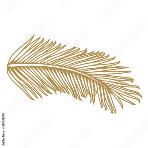 Palm frond wall decor