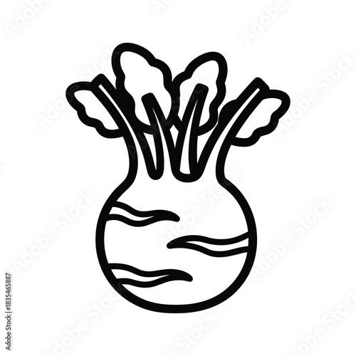 Illustration of kohlrabi vegetable on white background with thick line design exactly one hundred letters