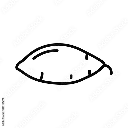 Simple drawing of sweet potato, source of vitamins, complex carbs, and sweet flavors