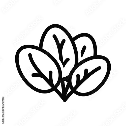 Spinach leaves vector icon on white background for healthy nutrition and agriculture