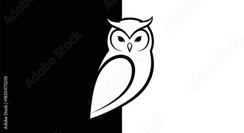 Elegant Owl Illustration with Striking Black and White Contrast.